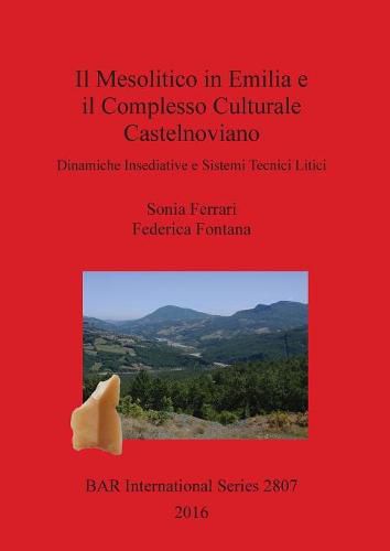 Cover image for Il Mesolitico in Emilia e il Complesso Culturale Castelnoviano: Dinamiche Insediative e Sistemi Tecnici Litici