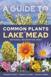 Cover image for A Guide to Common Plants of Lake Mead National Recreation Area