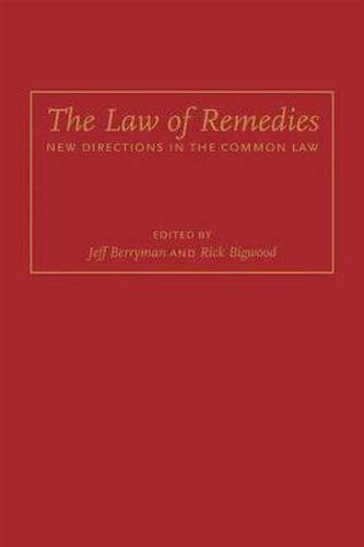 Cover image for The Law of Remedies: New Directions in the Common Law