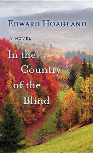 In The Country Of The Blind: A Novel