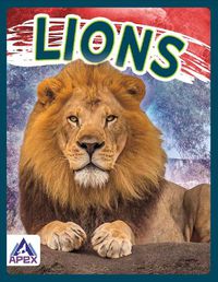 Cover image for Wild Cats: Lions