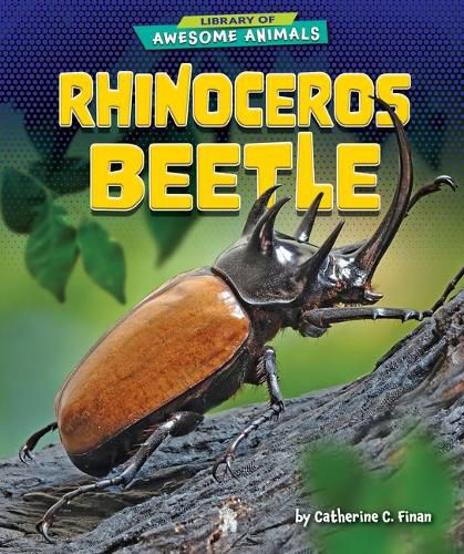 Cover image for Rhinoceros Beetle
