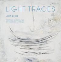 Cover image for Light Traces