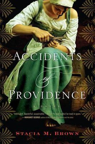 Cover image for Accidents of Providence
