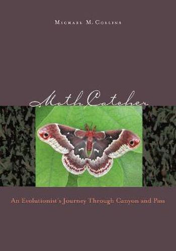 Cover image for Moth Catcher: An Evolutionist's Journey Through Canyon and Pass