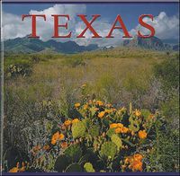 Cover image for Texas