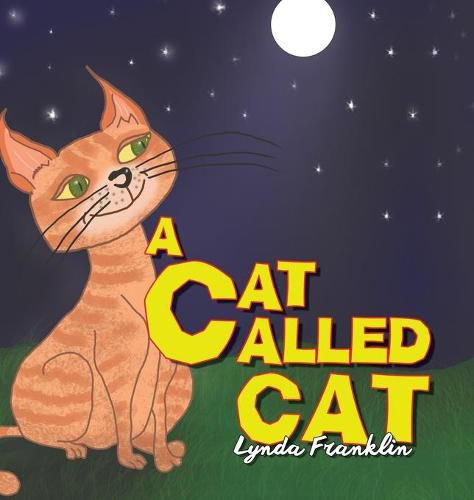 Cover image for A Cat Called Cat