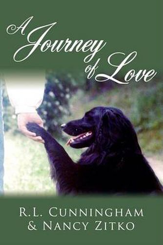 Cover image for A Journey of Love