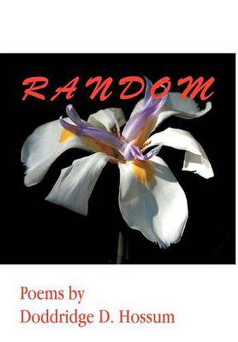 Cover image for Random