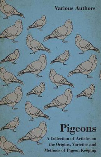 Cover image for Pigeons - A Collection of Articles on the Origins, Varieties and Methods of Pigeon Keeping