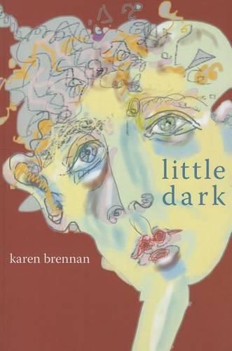 Cover image for little dark