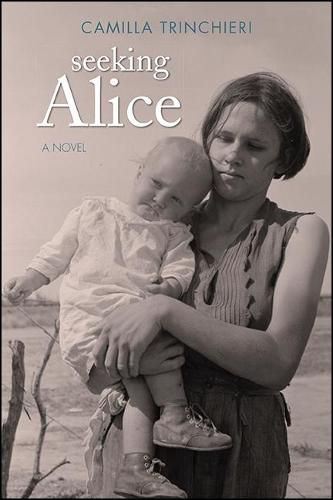 Cover image for Seeking Alice: A Novel