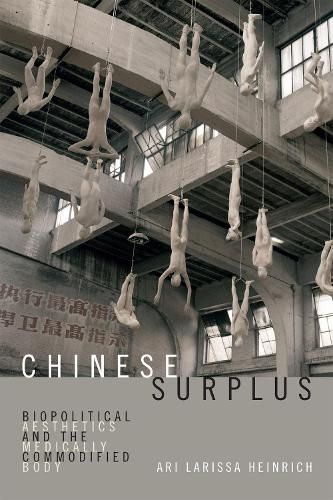 Cover image for Chinese Surplus: Biopolitical Aesthetics and the Medically Commodified Body