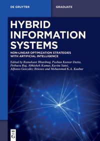 Cover image for Hybrid Information Systems