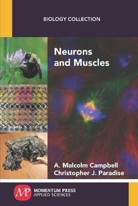 Cover image for Neurons and Muscles