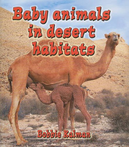 Cover image for Baby Animals in Desert Habitats