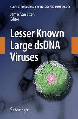 Cover image for Lesser Known Large dsDNA Viruses