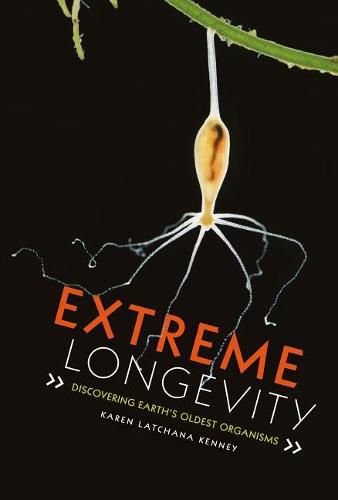 Cover image for Extreme Longevity: Discovering Earth's Oldest Organisms