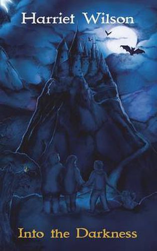 Cover image for Into the Darkness