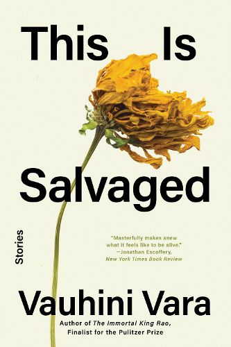 Cover image for This Is Salvaged