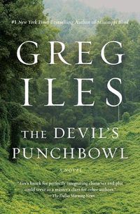 Cover image for The Devil's Punchbowl