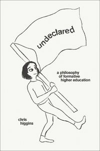 Cover image for Undeclared