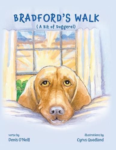 Cover image for Bradford's Walk