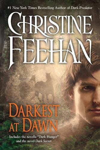 Cover image for Darkest at Dawn