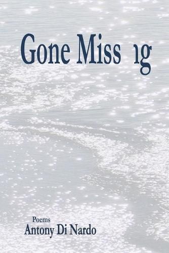 Cover image for Gone Missng