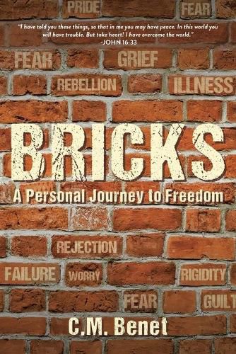 Cover image for Bricks: A Personal Journey to Freedom