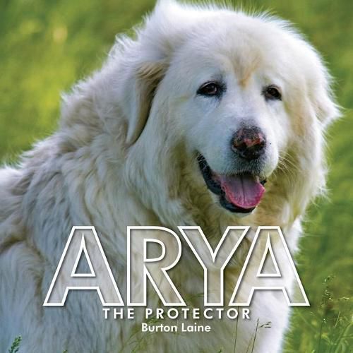 Cover image for Arya