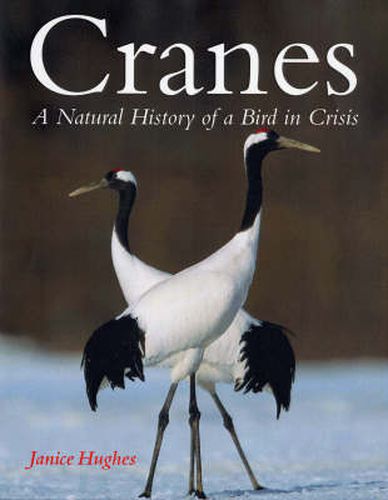 Cover image for Cranes: A Natural History of a Bird in Crisis