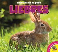 Cover image for Liebres