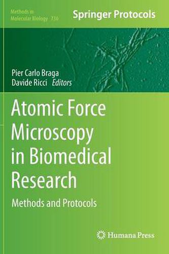 Cover image for Atomic Force Microscopy in Biomedical Research: Methods and Protocols