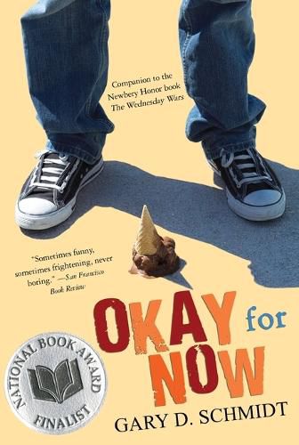 Cover image for Okay for Now