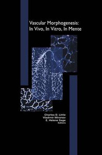 Cover image for Vascular Morphogenesis: In Vivo, In Vitro, In Mente