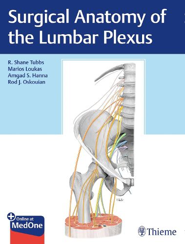 Cover image for Surgical Anatomy of the Lumbar Plexus