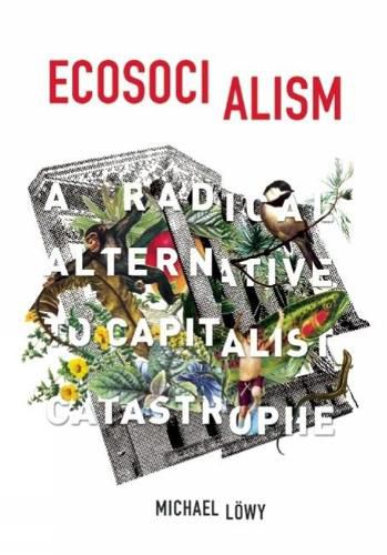 Ecosocialism: A Radical Alternative to Capitalist Catastrophe