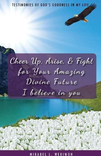 Cover image for Cheer Up, Arise, & Fight for Your Amazing Divine Future: I believe in you