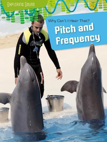 Cover image for Why Can't I Hear That?: Pitch and Frequency