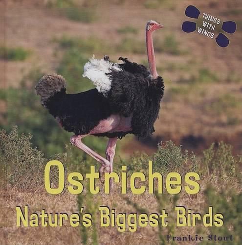 Cover image for Ostriches