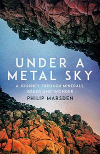 Cover image for Under a Metal Sky