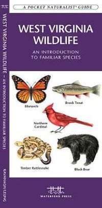 Cover image for West Virginia Wildlife: A Folding Pocket Guide to Familiar Species