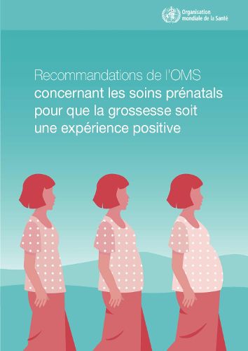 Cover image for Recommandations de l'Oms Concernant Les Soins Prenatals Pour Que La Grossesse Soit Une Experience Positive