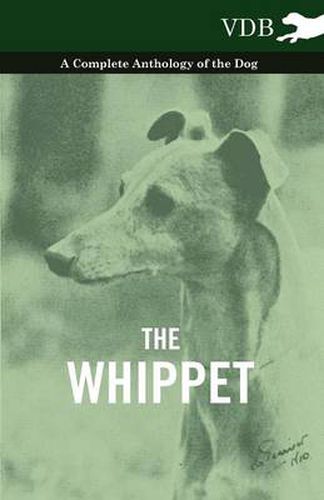 Cover image for The Whippet - A Complete Anthology of the Dog