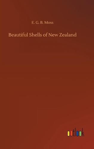 Beautiful Shells of New Zealand