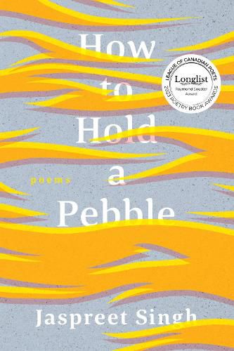 Cover image for How to Hold a Pebble