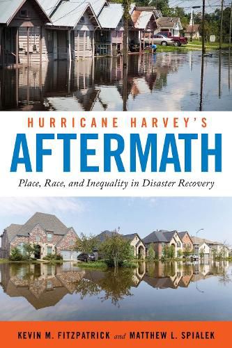 Cover image for Hurricane Harvey's Aftermath: Place, Race, and Inequality in Disaster Recovery