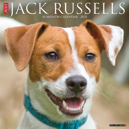 Cover image for Jack Russells 2026 12 X 12 Wall Calendar