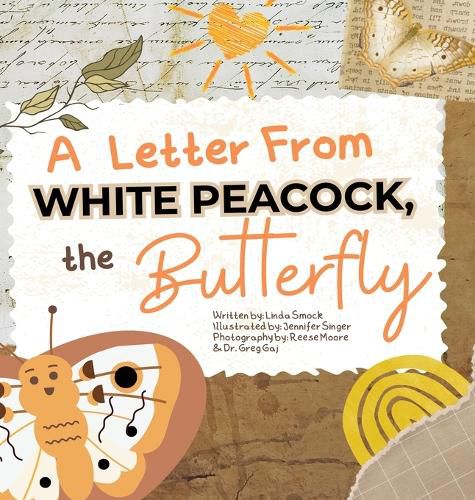 Cover image for A Letter from White Peacock the Butterfly